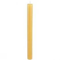Article Bougies coniques bougies unies miel 21×240mm 12 pcs