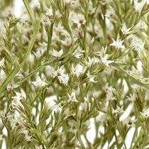 Article Lavande de mer Statice Tatarica fleurs séchées naturelles 2kg