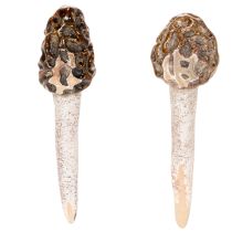 Article Morilles artificielles décoratives à piquer pour pots de fleurs et tables, 13 cm, lot de 2