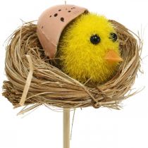 Bouchon décoratif poussins dans le nid Décoration de Pâques pour brancher Ø6cm 6 pièces