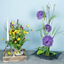 Article Pique-fleurs Kenzan pour ikebana Laiton Rond Ø 40mm
