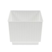Cubes enfichables pour plug-in dimensions 7cm blanc 10pcs