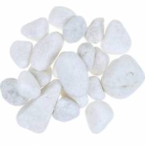 Article Galets de rivière Blanc Naturel 3-5cm 1kg