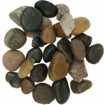 Article Galets de rivière Naturel clair et foncé 2-3cm 1kg