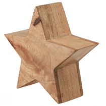 Article Etoile décorative de table en bois de manguier à poser naturel Ø24cm