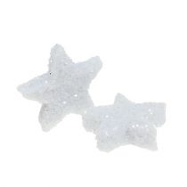 Article Star Glitter 1,5cm à saupoudrer blanc 144pcs