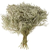 Article Lavande de mer Statice Tatarica fleurs séchées naturelles 2kg