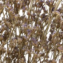 Article Fleurs Séchées Lilas Limonium Plage Violet 70cm 50g