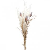 Article Capsules de coquelicot fleurs séchées décoratives fougère artificielle crème 63cm