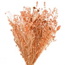 Article Bouquet de fleurs séchées orange abricot bouquet sec 45cm 80g