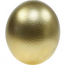 Article Décoration oeuf d&#39;autruche soufflé décoration Pâques or Ø12cm H14cm