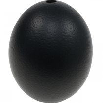 Article Décoration oeuf d&#39;autruche soufflé déco Pâques noir Ø12cm H14cm