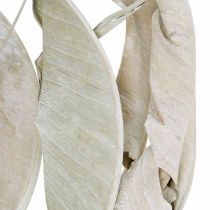 Feuilles de strelitzia lavées en blanc, séchées 45-80cm 10pcs