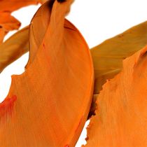 Feuilles de strelitzia jaune-orange 120 cm 20 p.