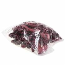 Article Cônes décoratifs Strobus rouge blanc lavé 15-20 cm 50 pièces