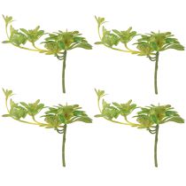 Article Plante artificielle succulente avec pic Aeonium Vert 30cm 4 pcs