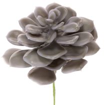 Article Fleurs artificielles succulentes en cire, décoration de 10 cm, lot de 6