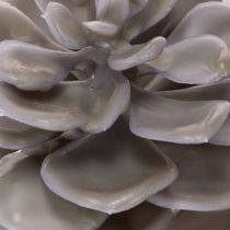 Article Fleurs artificielles succulentes en cire, décoration de 10 cm, lot de 6