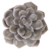 Article Fleurs artificielles succulentes en cire, décoration de 10 cm, lot de 6