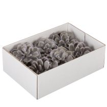 Article Fleurs artificielles succulentes en cire, décoration de 10 cm, lot de 6