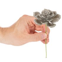 Article Plantes artificielles succulentes en cire avec fil de fer, 8 cm, lot de 8