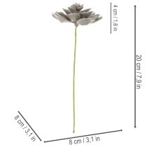 Article Plantes artificielles succulentes en cire avec fil de fer, 8 cm, lot de 8