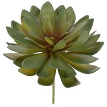 Article Plante grasse artificielle décorative, verte, 18 cm, lot de 3