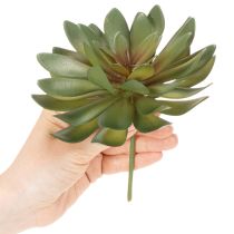 Article Plante grasse artificielle décorative, verte, 18 cm, lot de 3