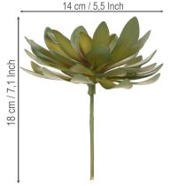 Article Plante grasse artificielle décorative, verte, 18 cm, lot de 3