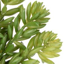 Article Fleurs succulentes artificielles pour une décoration facile d'entretien des espaces de vie et de bureau, 15 cm, lot de 6