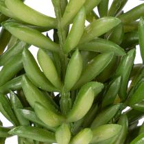Article Fleurs succulentes artificielles pour une décoration facile d'entretien des espaces de vie et de bureau, 15 cm, lot de 6