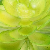 Article Plante grasse artificielle verte, pour décoration dans un bol ou un vase, 10 cm, lot de 4