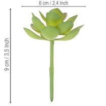 Article Plante grasse artificielle verte comme décoration pour des compositions créatives