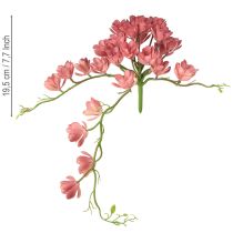 Article Succulente artificielle 28 rosettes Aeonium vieux rose 43cm