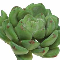 Article Succulente Echeveria artificielle Vert H15cm