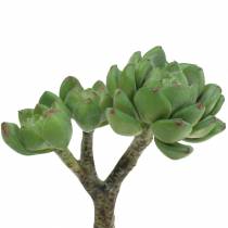 Article Succulente Echeveria artificielle Vert H15cm