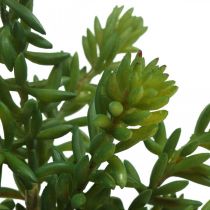 Plante verte artificielle succulente à coller 25cm vert 2pcs