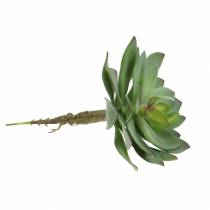 Article Succulente artificielle verte 27cm