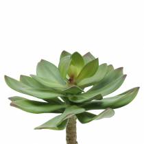 Succulente artificielle verte 27cm