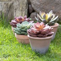 Article Plante succulente en pot Echeveria artificielle rouge vintage Ø15cm H16cm