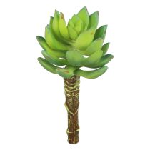 Article Plante Verte Artificielle Succulente Echeveria Vert Ø5,5cm 12,5cm