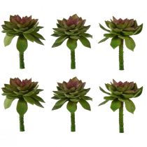 Article Plante succulente rose en pierre 6cm vert 6pcs