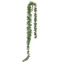 Article Guirlande de plantes artificielles suspendues, décoration succulente pour salon