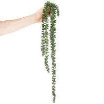 Article Guirlande de plantes artificielles suspendues, décoration succulente pour salon