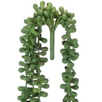 Article Guirlande de plantes artificielles suspendues, décoration succulente pour salon