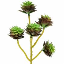 Article Cueillette Succulente Vert / Marron 35.5cm