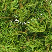 Fibre de tamarin vert clair fibre naturelle pour l&#39;artisanat et la décoration 500g