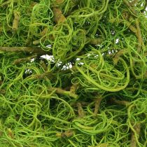 Article Fibre de Tamarin Fibre Naturelle Vert Clair pour l&#39;Artisanat et la Décoration 500g