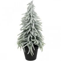 Sapin d&#39;hiver en pot, décoration de Noël, sapin avec neige H45cm