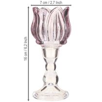 Article Photophore tulipe en verre violet Ø7cm H16cm 2pcs